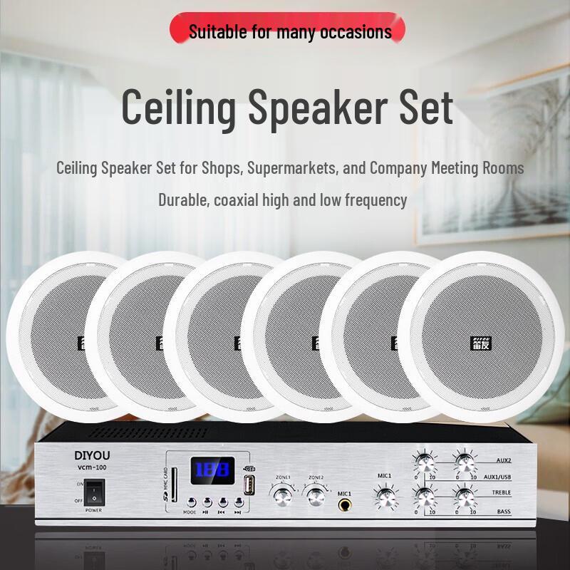 Diyou Embedded Ceiling Speaker & Amplifier System CN Plug (adapter Included) (CN Version)