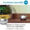 OHM Electric AudioComm Wireless Mini Speaker, Silver, ASP-W50N-S, 03-2416