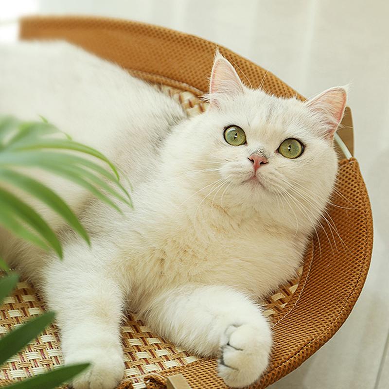 Summer Cooling Cat Bed Cool Mat Sofa Cat Scratch Wear-Resistant Cat Nest Rattan Lounge Chair Cat House Pet Sleeping Bed