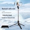 Multifunctional Selfie Stick Tripod with Fill Light for Videos & Travel Photography