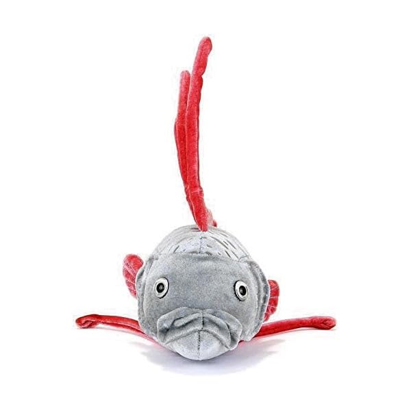 Calorata Oarfish Plush Toy (61 x 10 x 21 cm), Soft to the Touch, Realistic (Fish Plush Toy), Doll, MascotBirthday Gift (Twice Measured), Deep-Sea