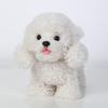 Electronic Walking Poodle Plush Realistic Interactive Pet Wags Tail and Pet Gift for Boys and Girls Ages Toy, Puppy, Dog, Walks, Barks, Talks, 3+
