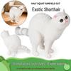 Gatos – Brinquedos para gatos