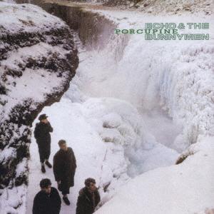 CD ECHO THE BUNNYMEN Porcupine porcupine WPCR75305 Korova 2007 Japan Rock Used