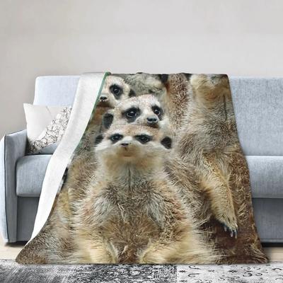 Couverture Meerkat 012 en flanelle douce et chaude pour lit, salon, pique-nique, voyage, maison, canapé