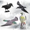 KADAX Pigeon Bird Scarer Large Falcon Bird