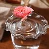 Yousheng 10/20/30Pcs Floating Floral Arrangement Holder Clear Floating Flower Display Stand Hydroponics Water Planting Flower Bowl Stem Holder
