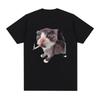 Funny Smoking Cat Meme Cigarette Kitten Graphic TShirt Women Clothing Fashion Vintage Tshirts Casual T Shirts