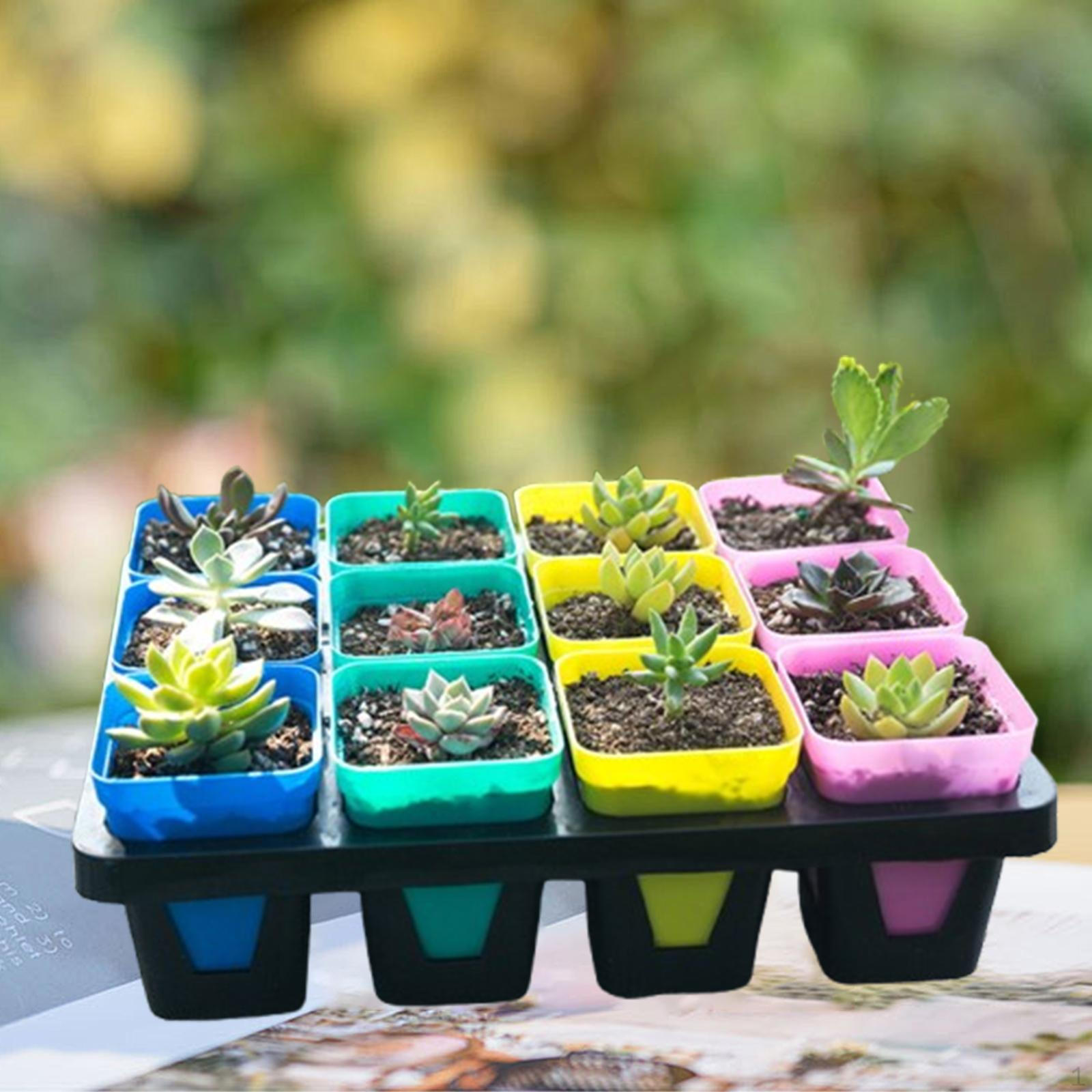 

Горшки для рассады Поднос для цветочного горшка Держатель для переноски В помещении На открытом воздухе Легкий Транспортный Портативный Многоразовый 12 Cell