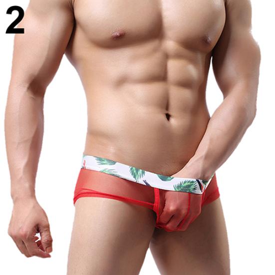 Men's Fashion Sexy See-through Underpants U Convex Thin Mesh Briefs Underwear