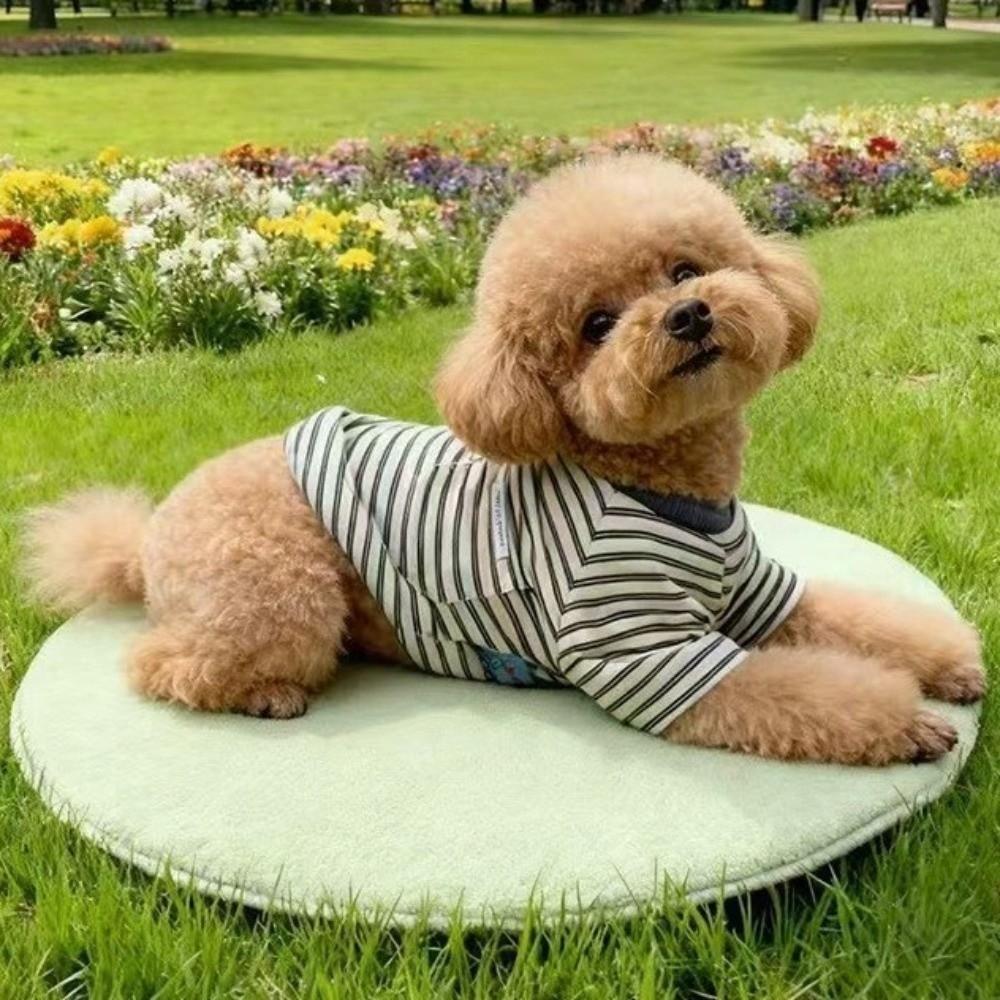 Stylish and Cool Dog Striped Shirt Crew-Neck Dog T Shirts Cat Outfit Dog Two Legged Clothes  Autumn