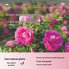 Princess Jieyou Rose Essential Oil Body Lotion