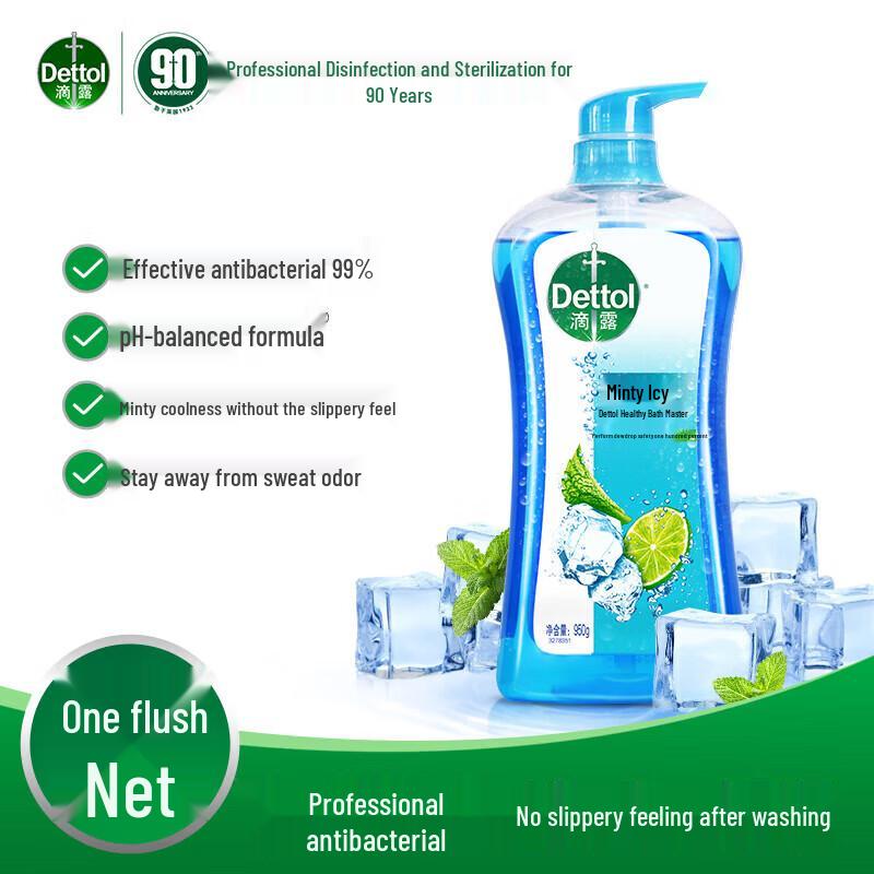 Dettol Minty Fresh Shower Gel
