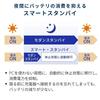 NEC LAVIE N15Slim Made in AMD 5 7535HS 16GB 512GB MS Office Windows Battery Lunar Gray Summer Laptop, Japan, 15.3-inch, Ryzen™ Processor, Memory, SSD,