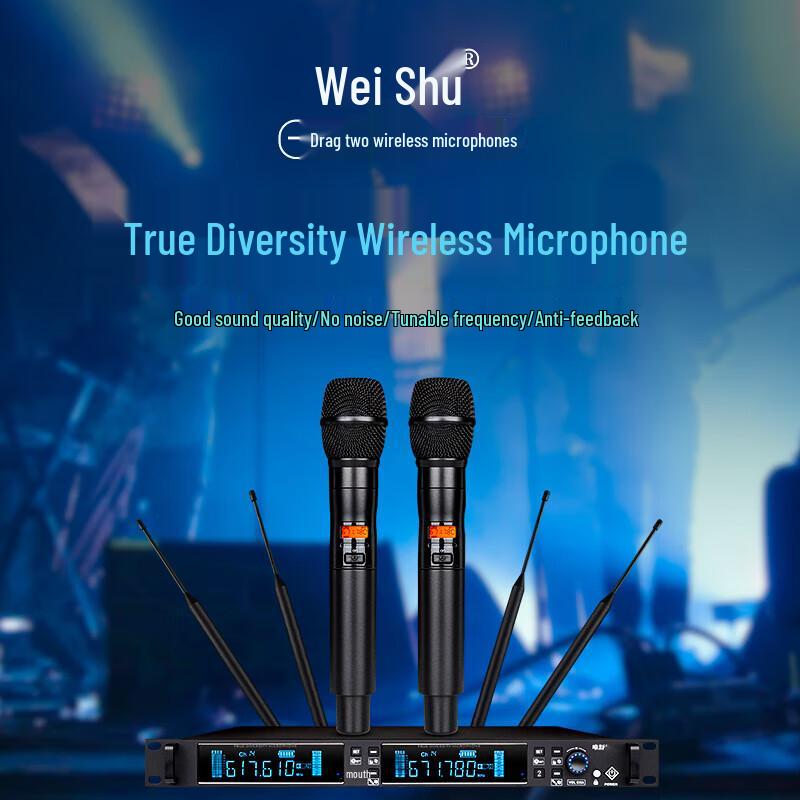 Wieshu DC-10SH Pro True Diversity Dual Wireless Handheld Microphone System (CN version)