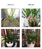 Smart Plant Soil Moisture & Humidity Meter for Horticulture