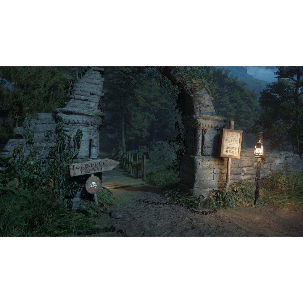 Hogwarts Legacy - Nintendo Switch 2 Game (Japanese Edition)