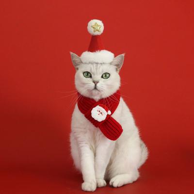 2 szt./zestaw Pet Świąteczna czapka i szalik Regulowana czapka z białym pomponem Dzianinowy szalik dla kota Uroczy kostium świąteczny dla małych psów kotów