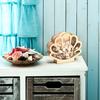 Wooden Shell Display Case Handcrafted Rustic Sea Shell Shadow Box Seashell Shaped Storage Display Box Home Office Desktop Decoration