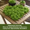 Lifelike Artificial Moss For DIY Crafts Home Decor  Evergreen Plant Accent For Indoor Landscapes Wedding Decorations  More