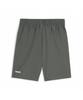 PUMA Rad/Cal Woven Shorts (67970480)