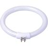11W T4 kruhová zářivka zářivka 11W T4 kulatá lampová trubice trubice lampa s lupou trubice