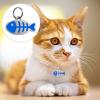 Targhetta per animali in acciaio inossidabile per cani di piccola taglia Gatti Lettere incise a prova di ruggine Forma di pesce Targhette per nome gattino resistenti alla corrosione
