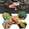 Bearded Dragon Tank Accessories, Reptile Terrarium Carpet Substrate for Leopard Gecko, Lizard, Iguana, Snake, Tortoise, Non-Adhesive Reptile Habitat