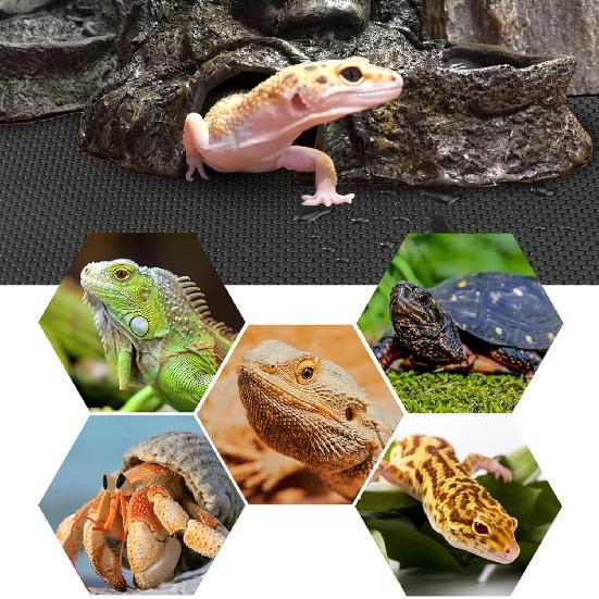 Bearded Dragon Tank Accessories, Reptile Terrarium Carpet Substrate for Leopard Gecko, Lizard, Iguana, Snake, Tortoise, Non-Adhesive Reptile Habitat