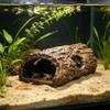 Cave For Fish Tank Tree Trunk Fish Tank Decoration Betta Habitat Ornament For Breeder Hobbyists Beginners Aquarists Anglers Home