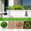 1 Roll 10" X 78.74" Microgreen Grow Mat Natural Fiber Grow Mats Microgreens Grow Kit Hydroponic Pads Indoor Organic Production F