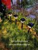 Waterproof Solar Lawn Lights - Garden, Courtyard & Yard Decoration