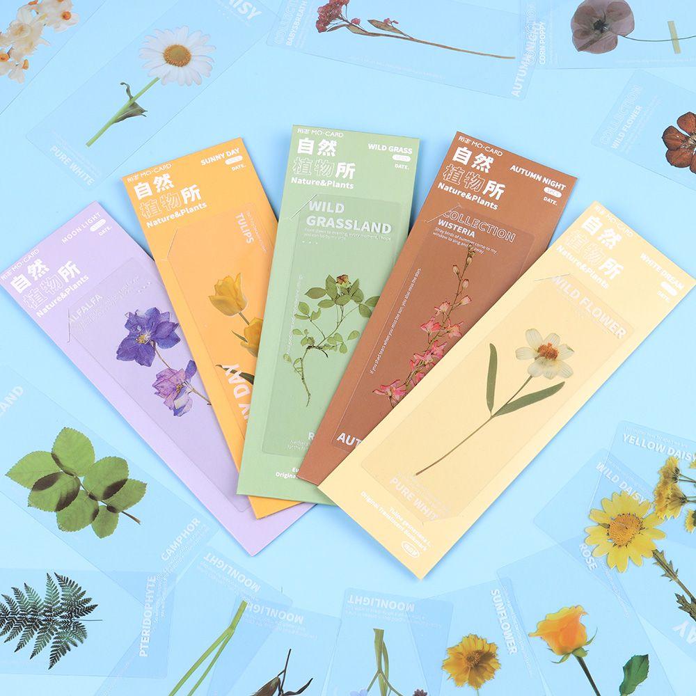 Leaf Vein Reading Mark Specimen Bookmarks Nature Plants Bookmarks Translucent Flower Bookmarks Card