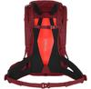 Backpack Salewa Alp Trainer 20 Syrah (00-0000001262-1570)