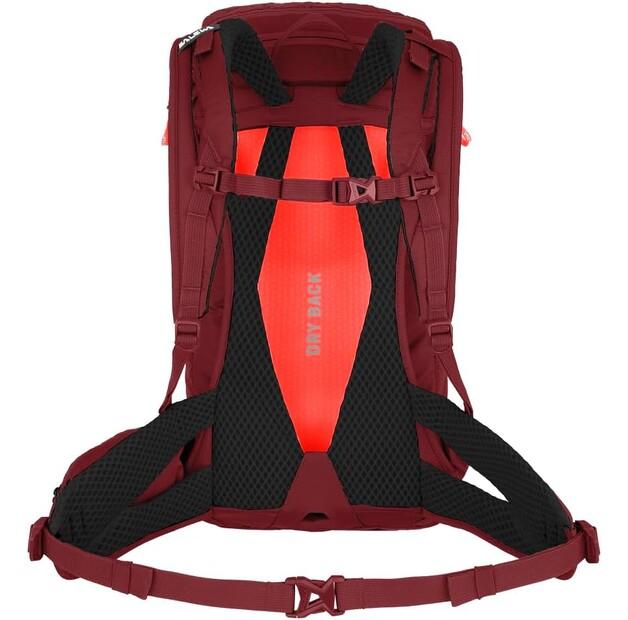 Backpack Salewa Alp Trainer 20 Syrah (00-0000001262-1570)