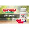 Baidyanath Asli Ayurved Giloy Satwa 40 g Packung 1 Reines Guduchi Satva Immunstärkungs-Nahrungsergänzungsmittel