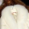 Fur Jacket Women's Autumn and Winter New Short Imitation Mink Fox Fur Collar Fashion Slim Jacket