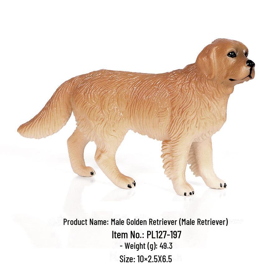 "Simulation Dog Models: Golden Retriever, Bulldog, Shepherd, Corgi, Shiba Inu Collection"