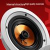 SAST 5.5-inch Coaxial Recessed Ceiling Speaker CN Plug (adapter Included)