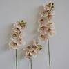 Phalaenopsis Wabi-Sabi Style Artificial Flowers for Home, Wedding, or Hotel Decor