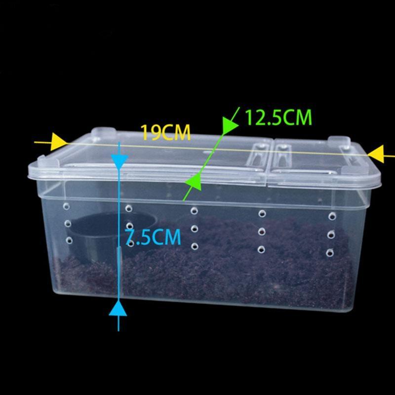 Snake Feeding Box Breeding Hatching Container Tarantula Habitat China Mainland
