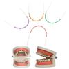 2Pcs/Pack Colorful Hook Temporary Tooth Decoration With Metal Wires Metal Bracket Orthodontic Ligature Ties Dental Decorations