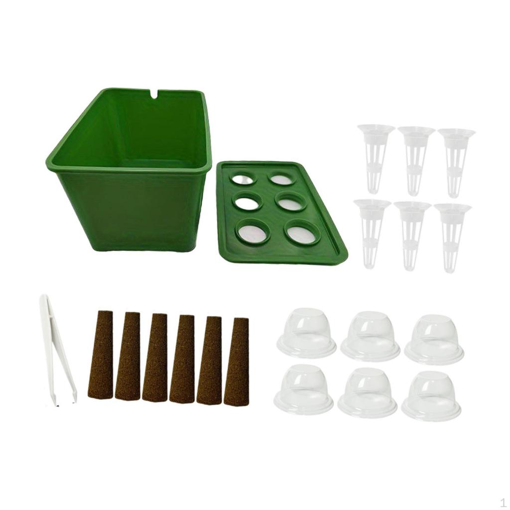 Hydroponic Growing System Kit, Indoor Gardening System, Planter for Market, Hotel,
