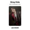 Stray Kids IN STANDARDVERSION. Offizielle Fotokarte