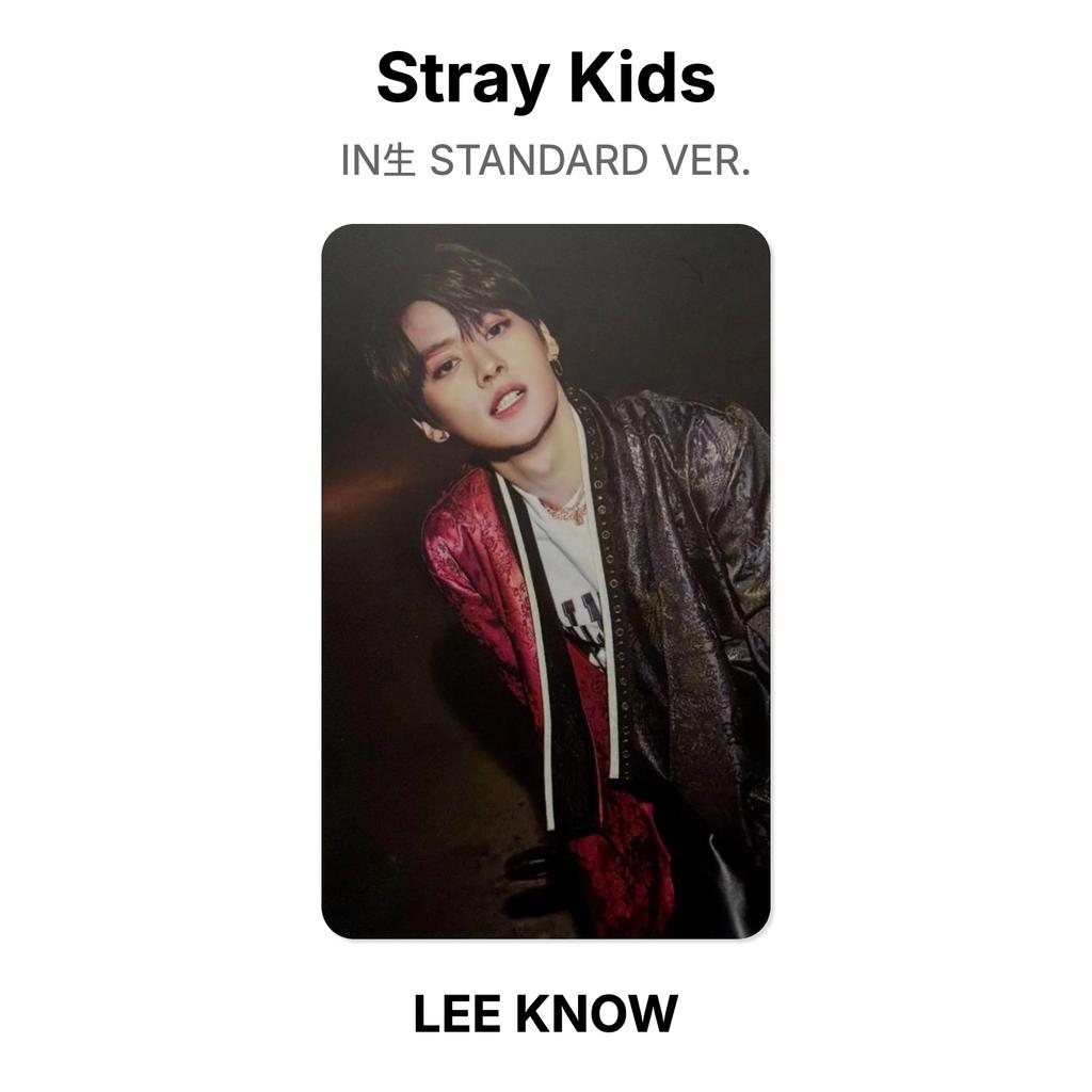 Stray Kids IN STANDARDVERSION. Offizielle Fotokarte