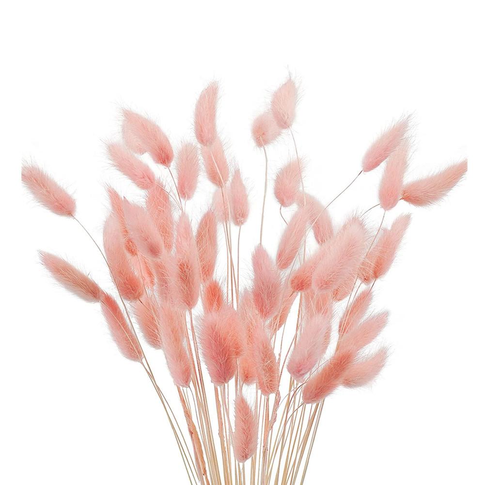 30 ks Barevné Králičí Ocasy Sušené Květiny Literární Styl Květinová Aranžmá Přírodní Kytice Králičích Ocasů Pro Večírek Domácí Dekoraci
