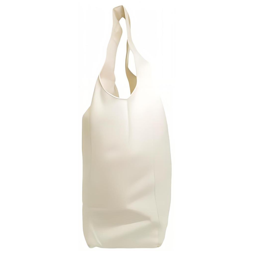 The North Face Logo Tote Bag Shopping Bag Shoulder Bag Outdoor Bag Women tote Cream NN2PP80B