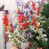 Artificial Berries Holly Red Berries Green Leaf Branches Dining Table Flower Arrangement Decoration DIY Xmas Tree Pendants