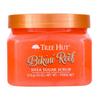 TREE HUT Shea Sugar Scrub 510g Single/Planned
