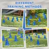 Dog Agility Equipment Set Of Eight Cones Eight Poles W Carry Bag Four Piece Adjustable Height Jumping Obstacles Blue